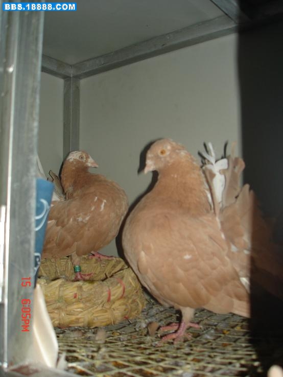 DSC05068.JPG