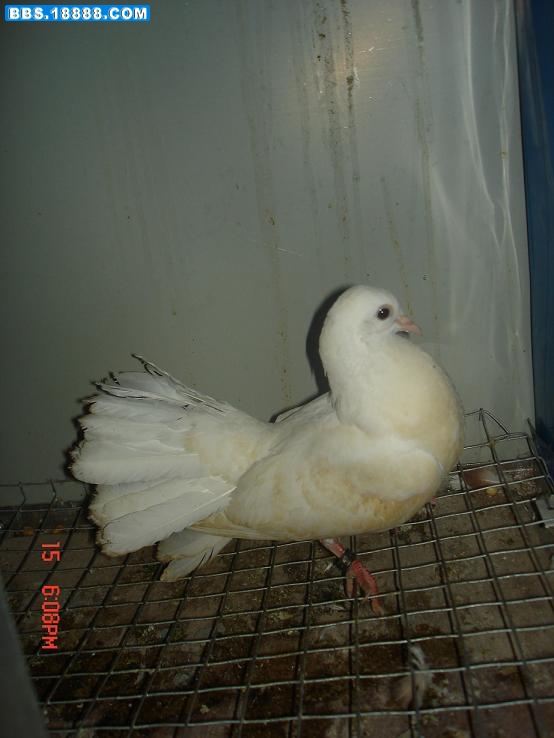 DSC05075.JPG