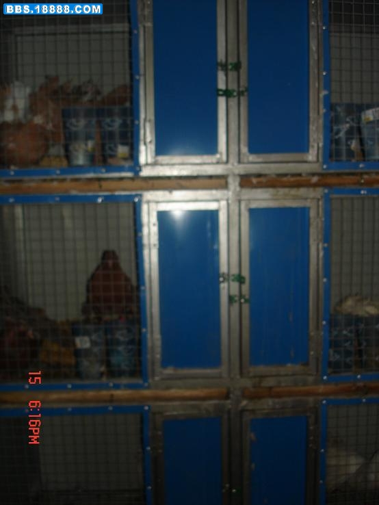 DSC05104.JPG