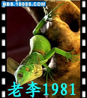 蜥蜴_nEO_IMG.jpg