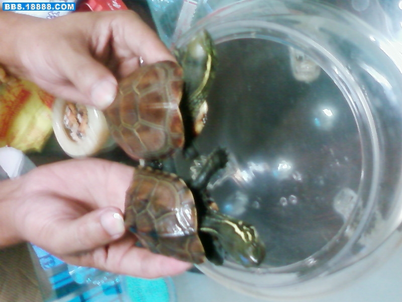 SP_A0087.jpg