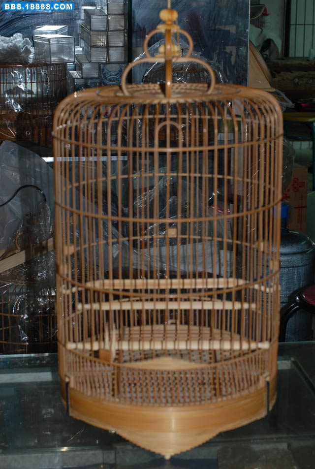 照片 151.jpg