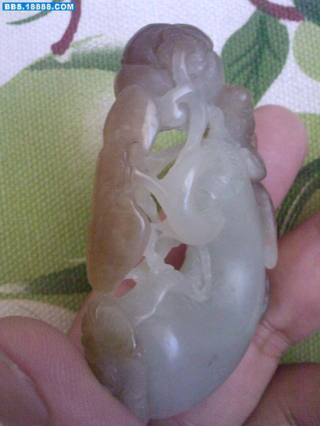 SP_A0030.jpg