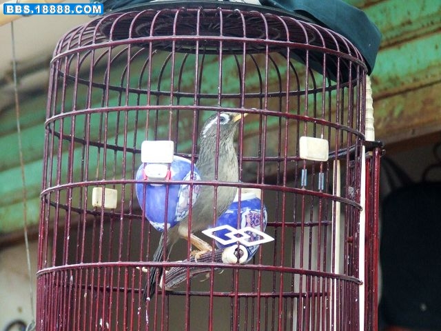 DSCF7075_nEO_IMG.jpg