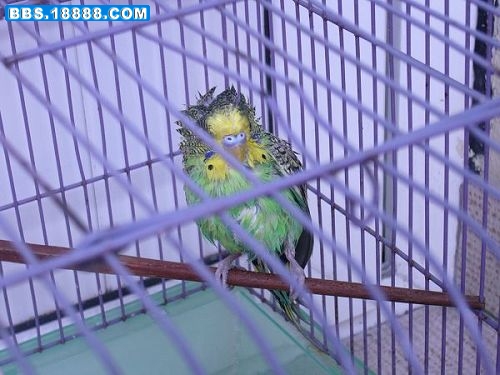 nEO_IMG_nEO_IMG_照片 004.jpg