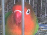 DSC00156.JPG