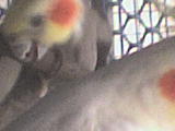DSC00181.JPG