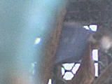 DSC00170.JPG