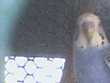 DSC00174.JPG