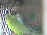 DSC00144.JPG