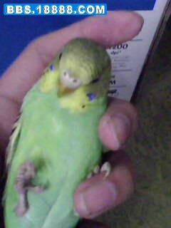 IMG0136A.jpg