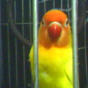 24338c02.jpg