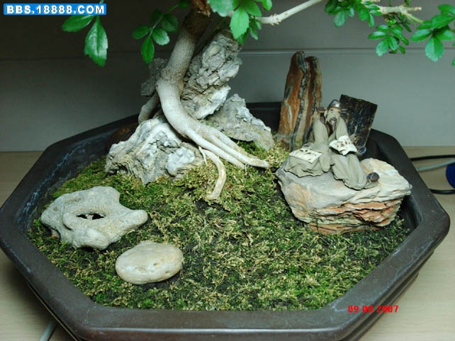 细部特征.jpg