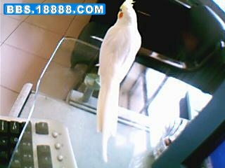 图片 039.jpg