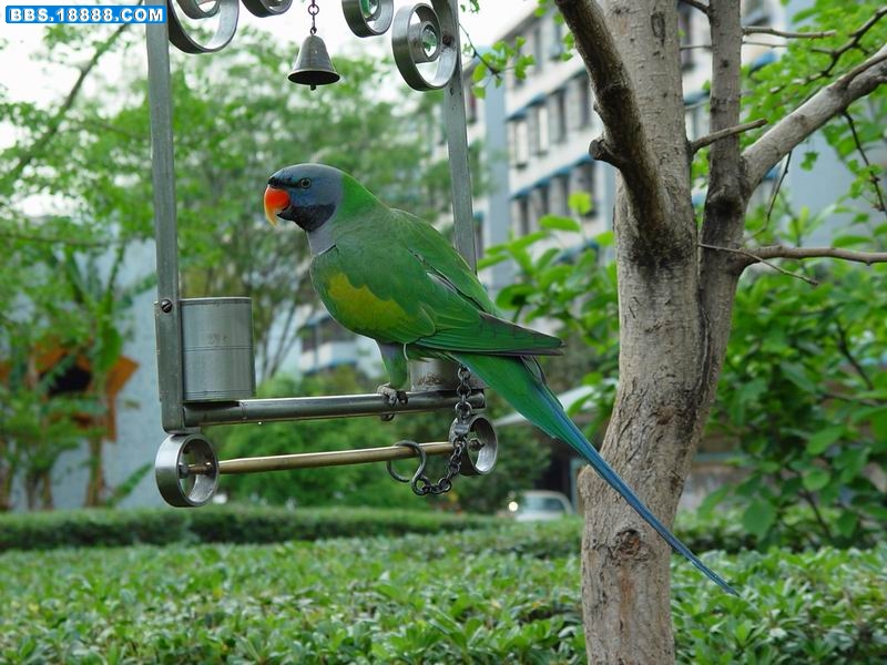 调整大小 DSC04913.JPG