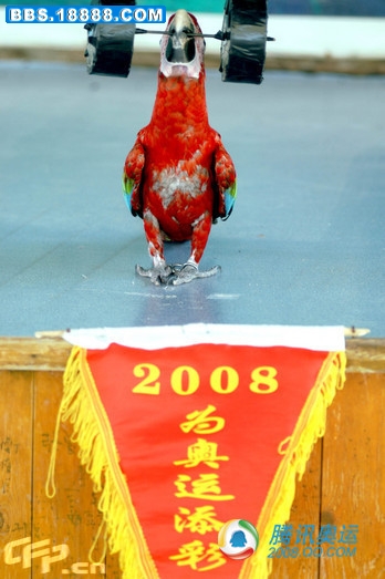 12371169.jpg