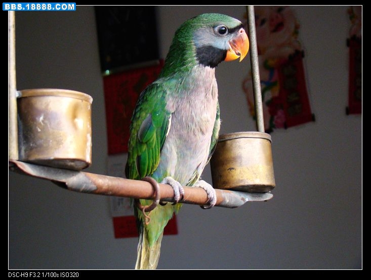 nEO_IMG_DSC01352.jpg
