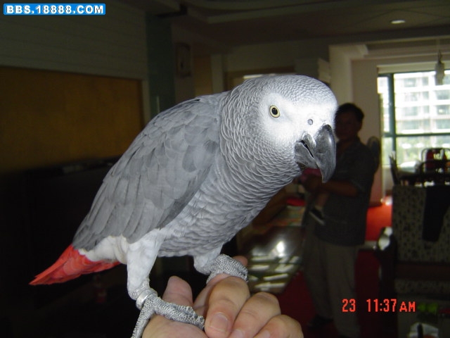 照片 080.jpg