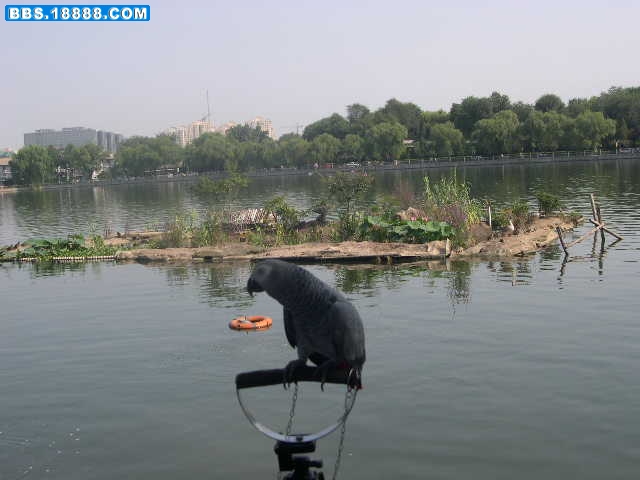 DSCN0033.JPG