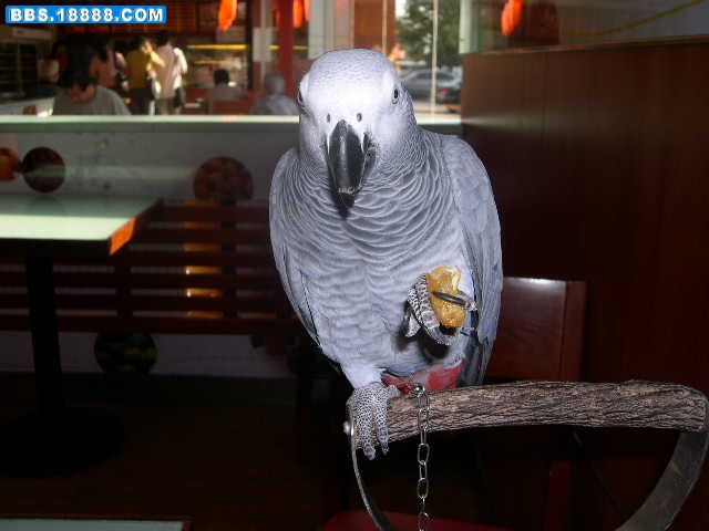 DSCN0008.JPG