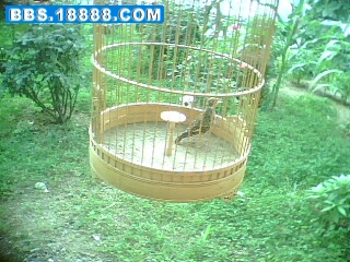 IMG0164A.jpg
