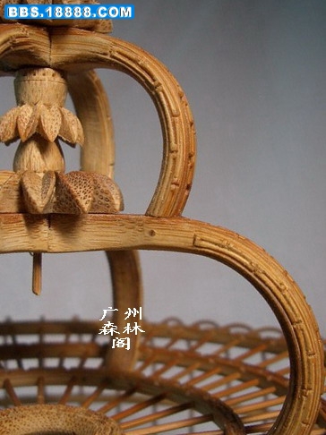 CIMG3366_缩小大小.jpg
