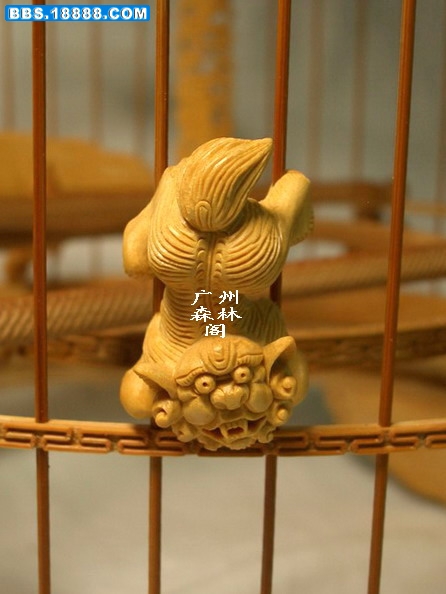 CIMG3220_缩小大小.jpg