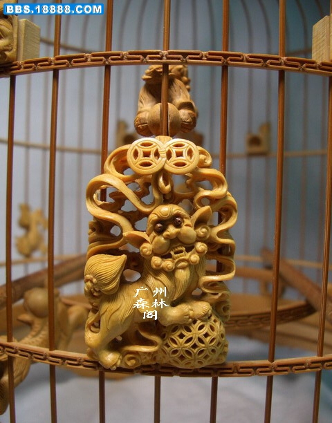 CIMG3207_缩小大小.jpg