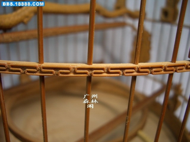 CIMG3372_缩小大小.jpg