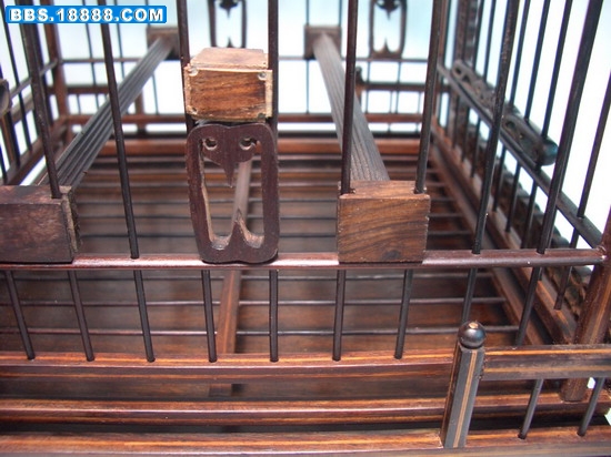 CIMG3521_缩小大小.JPG