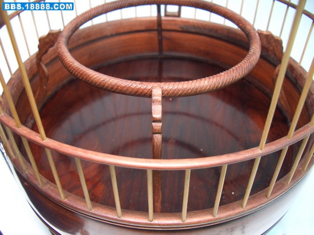 CIMG3296_缩小大小.JPG