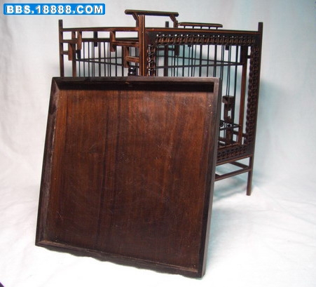 CIMG3528_缩小大小.jpg