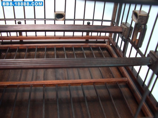 CIMG3523_缩小大小.JPG