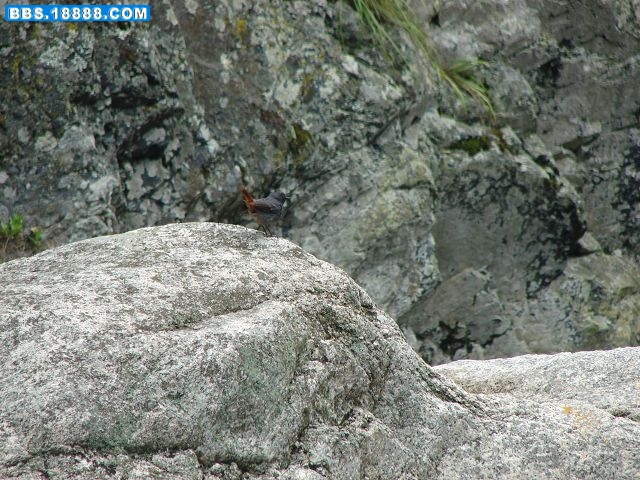 DSC01321.jpg