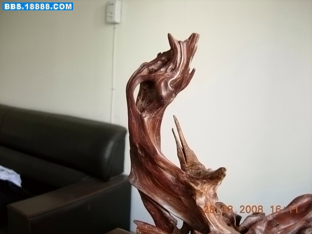 DSCN2346.jpg