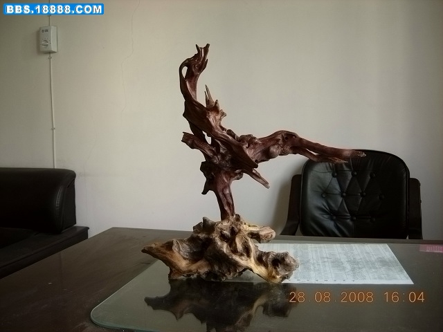 DSCN2339.jpg