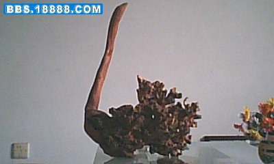 JPG0808131949.JPG