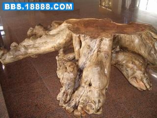 调整大小 CIMG2891.JPG