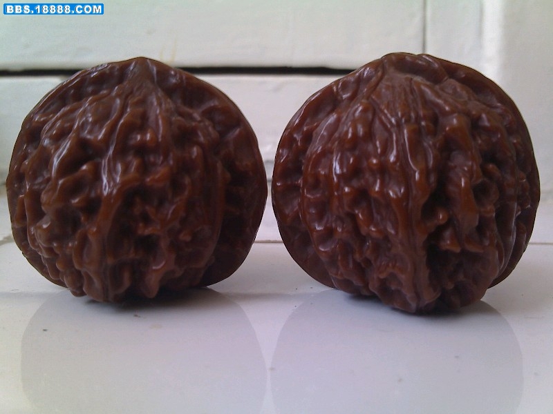 BigBull_0822_122238.jpg