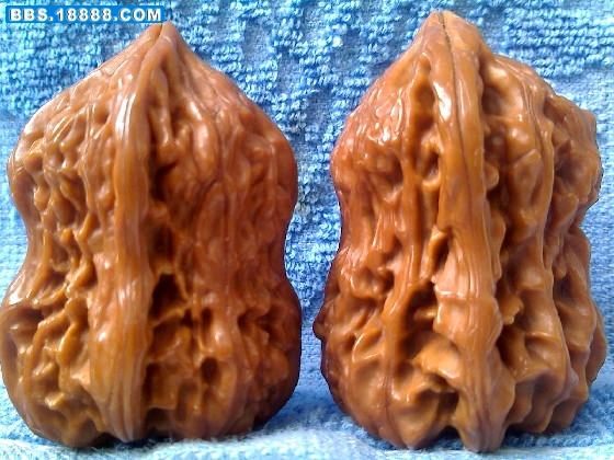BigBull_0825_133122.jpg