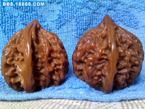 BigBull_0825_115700.jpg