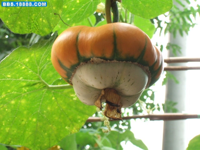 DSCF3853.JPG