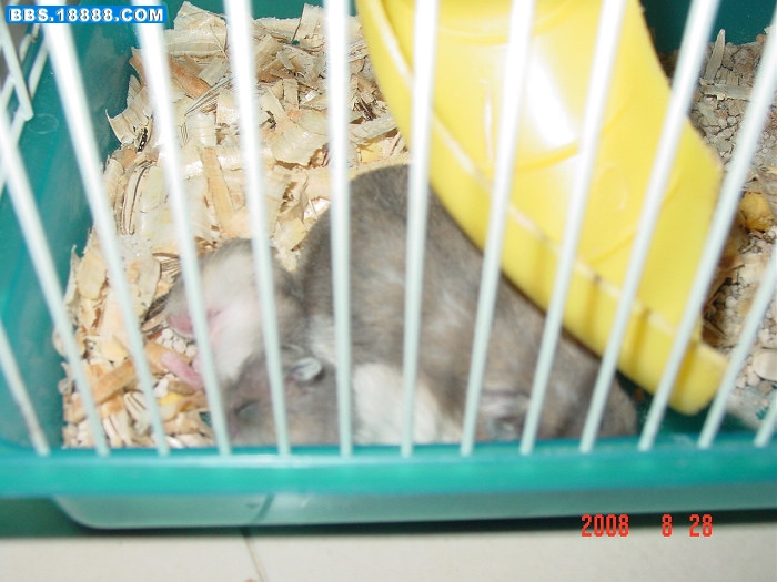 DSC01932.jpg