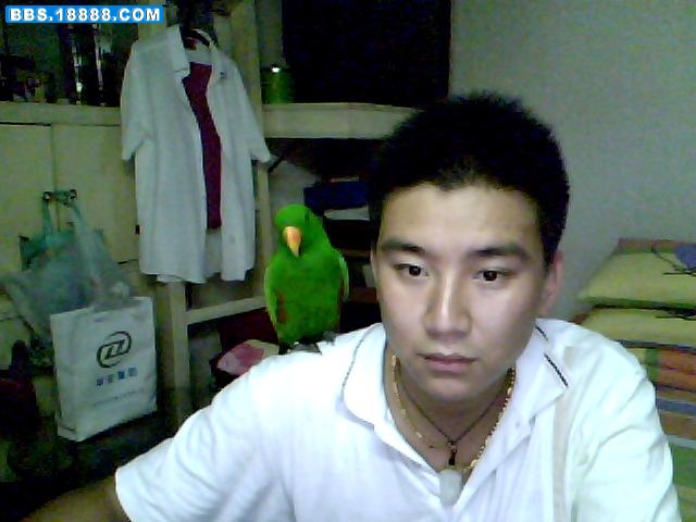 图片 001.jpg