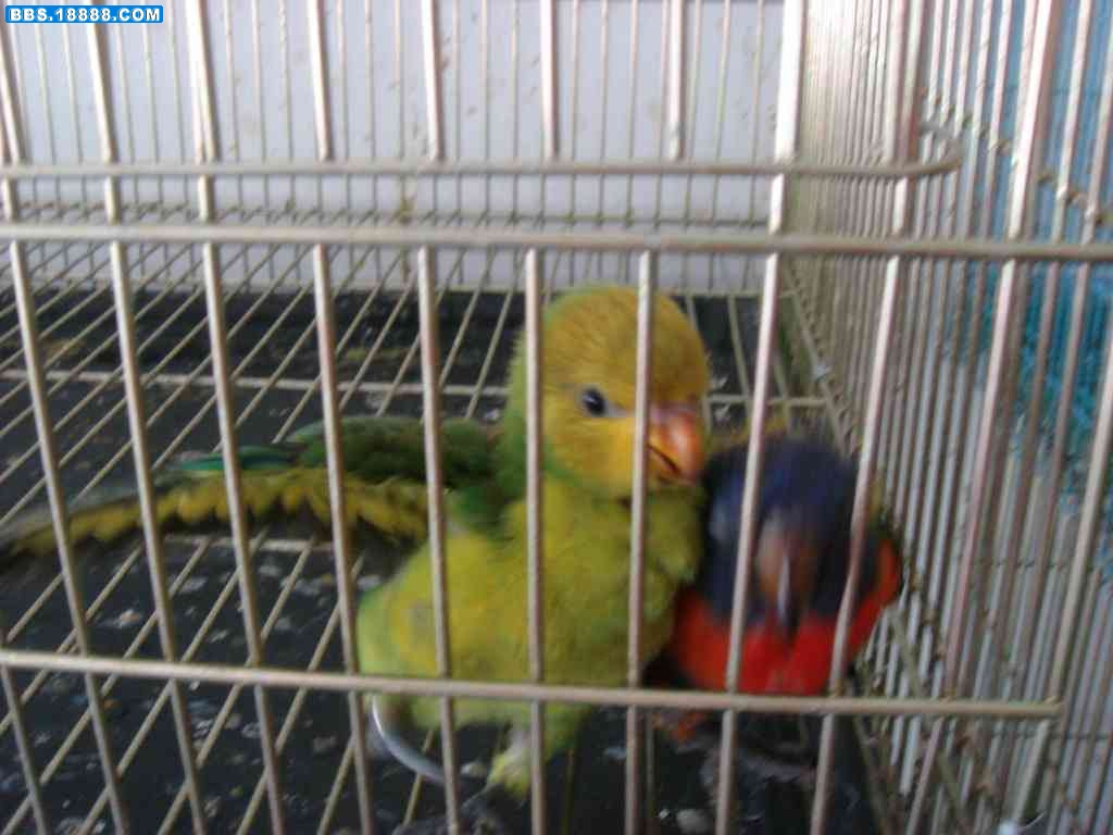 DSC03170 [桌面分辨率].JPG