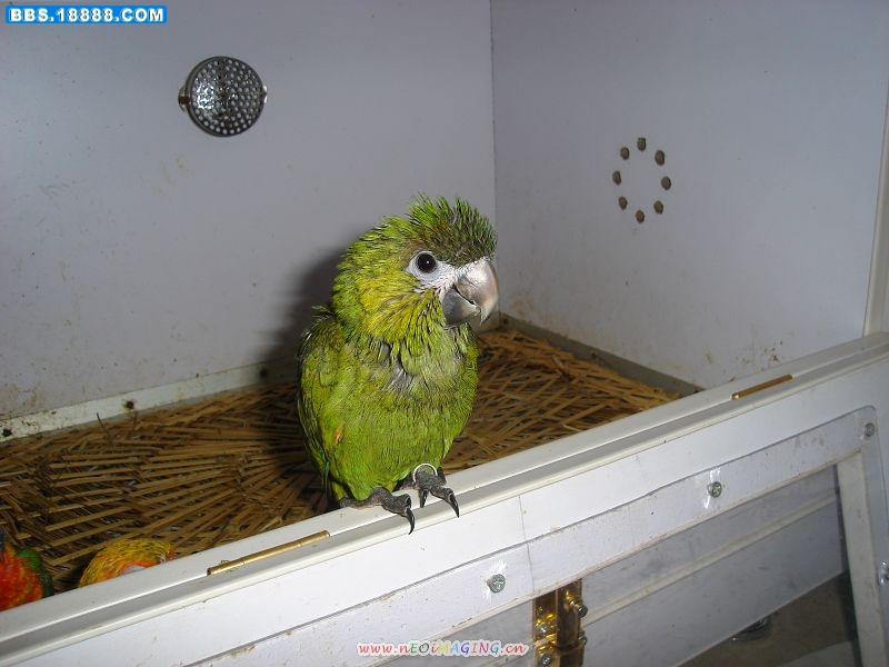 DSC01118.JPG