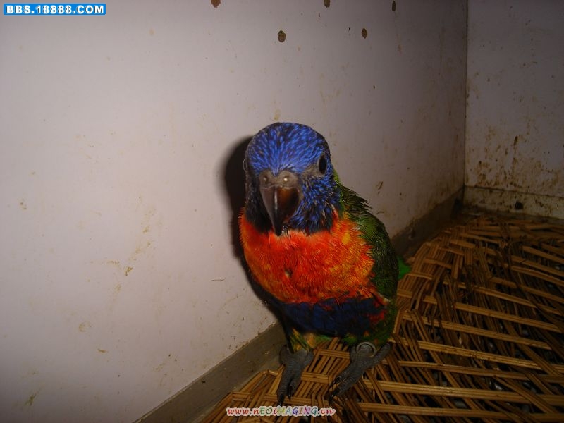 DSC01122.JPG