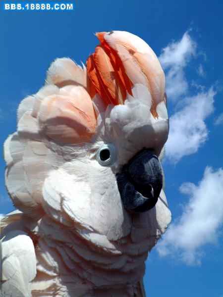 20.jpg