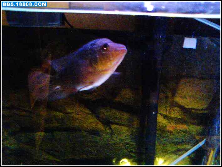 DSC00058_nEO_IMG.jpg