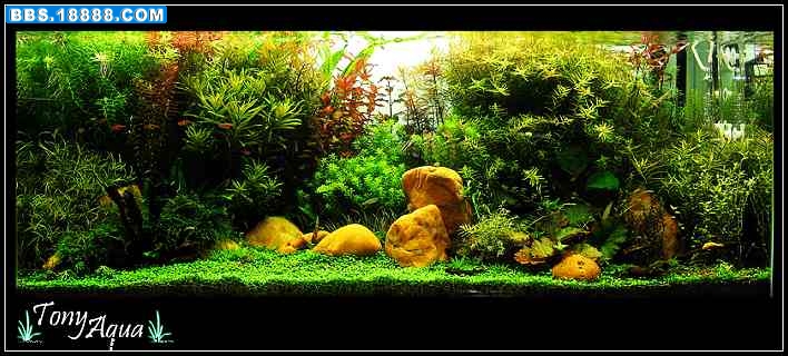 img0751copybhn8_nEO_IMG.jpg